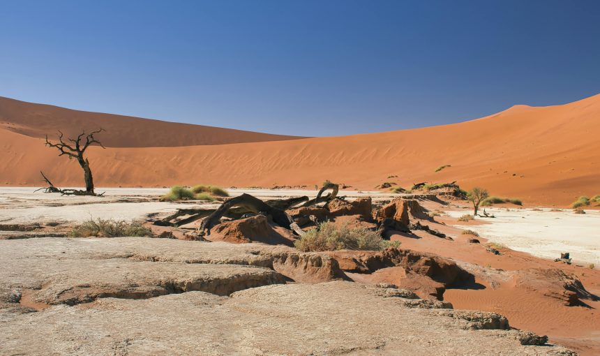 Discover Namibia: A Destination Like No Other
