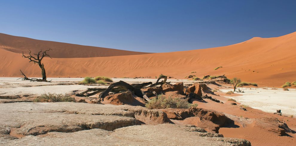 pexels-hub-jacqu-750015482-35465994